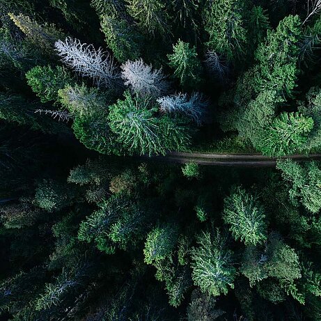 Photo by Geran de Klerk