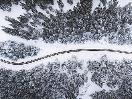 Bird eye’s view!, by Kimon Maritz