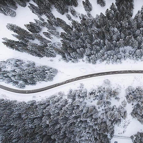 Bird eye’s view!, by Kimon Maritz